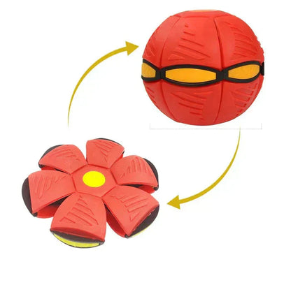 Brinquedo Voador para Cães - 2 em 1